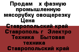 Продам 3-х фазную промышленную мясорубку-овощерезку › Цена ­ 50 000 - Ставропольский край, Ставрополь г. Электро-Техника » Бытовая техника   . Ставропольский край